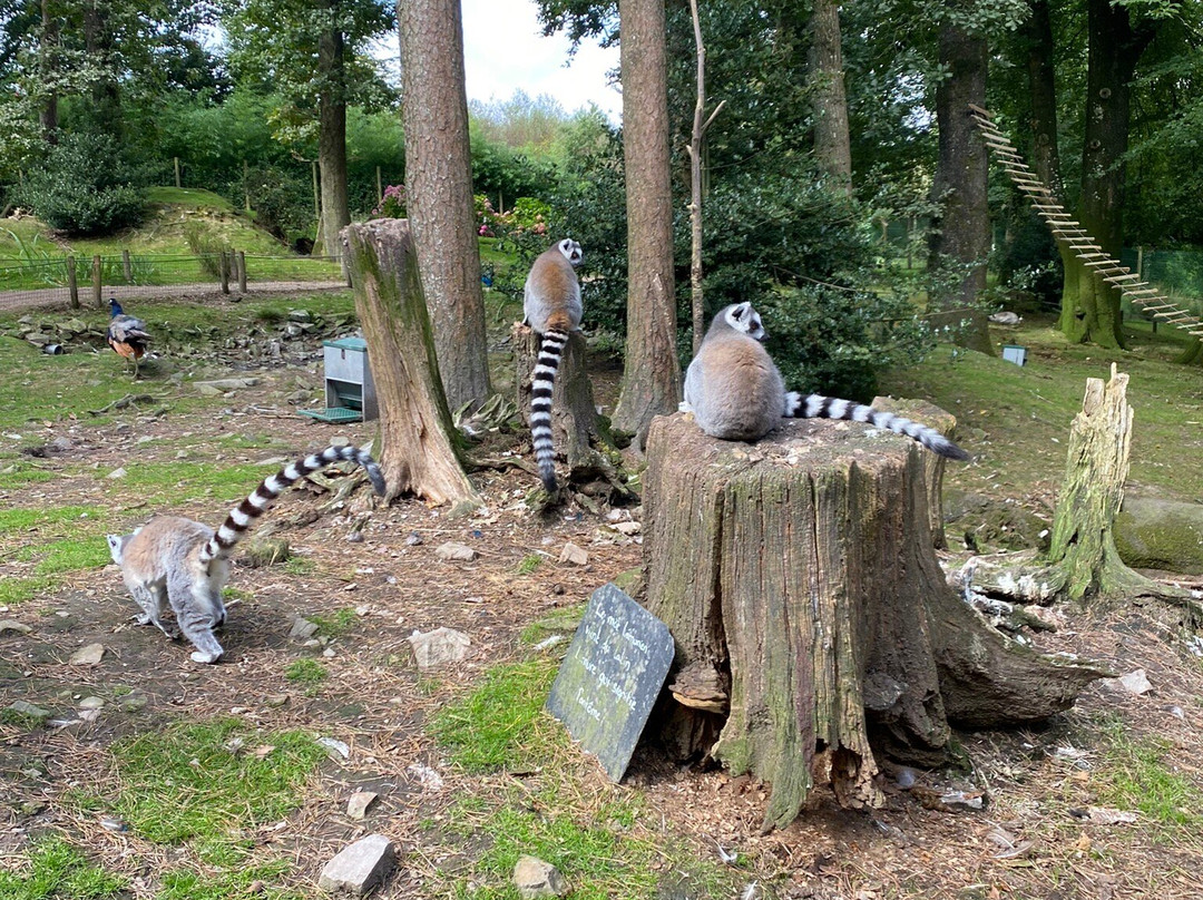 Zoo de Jurques景点图片