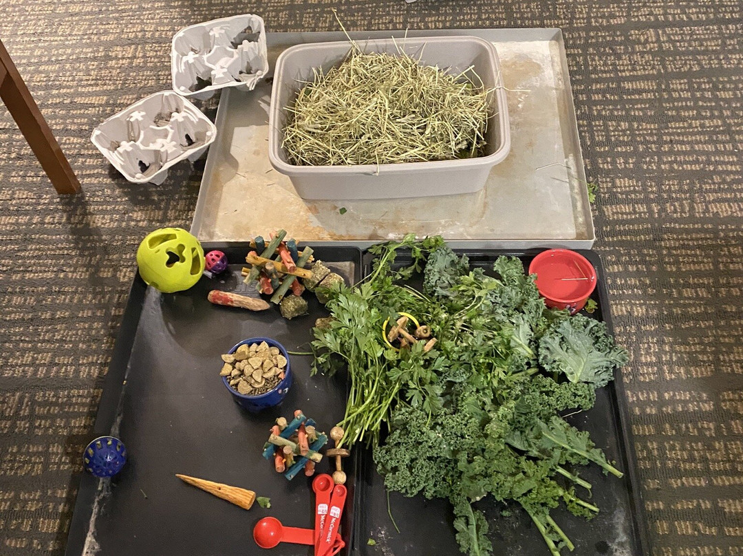 新贝德福德达特茅斯原住客栈主图