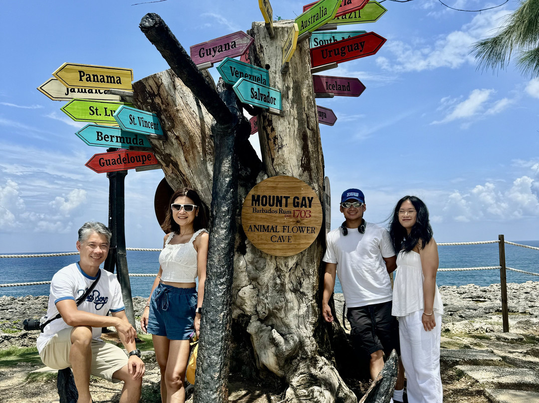 Terrvette Tours & Taxi Service-Maynards必去景点