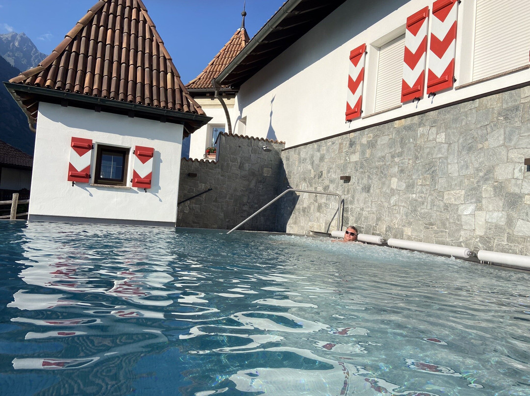 Vitalpina Hotel Schulerhof主图