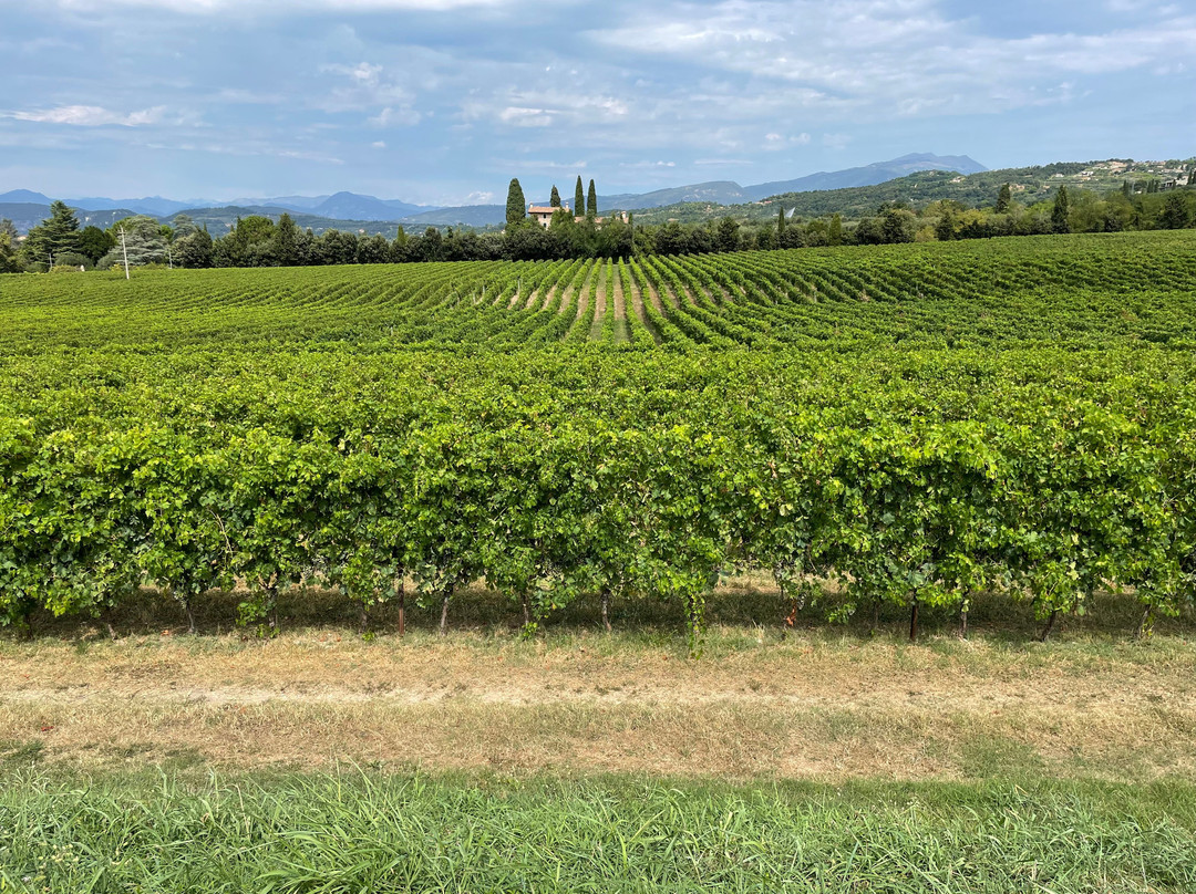 Tenuta La Cà-巴尔多利诺必去景点