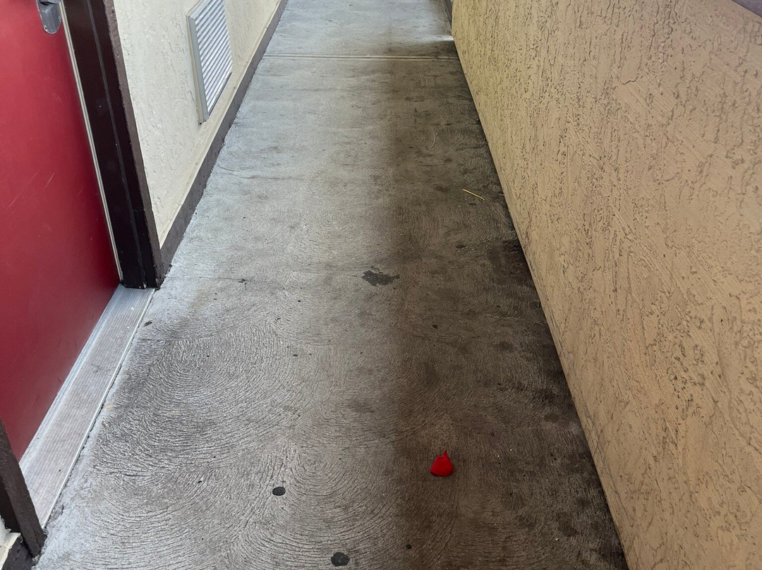 Red Roof PLUS+ Boston - Framingham主图