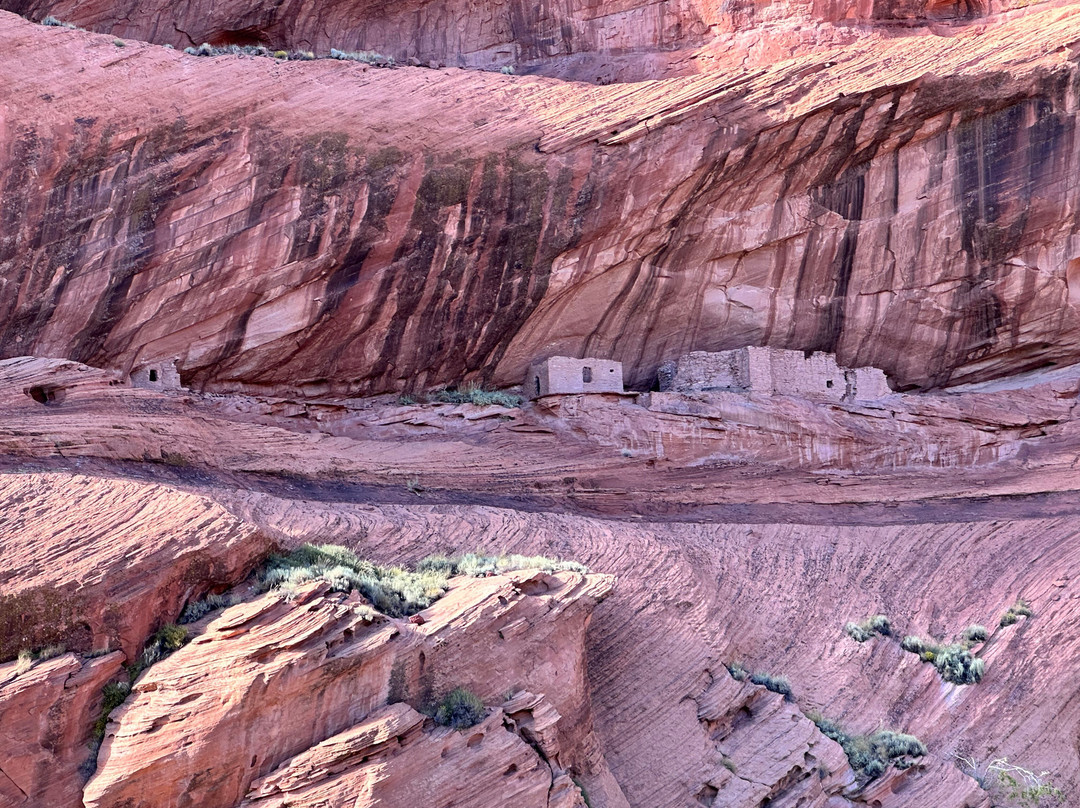 Thunderbird Lodge Tours-Chinle必去景点