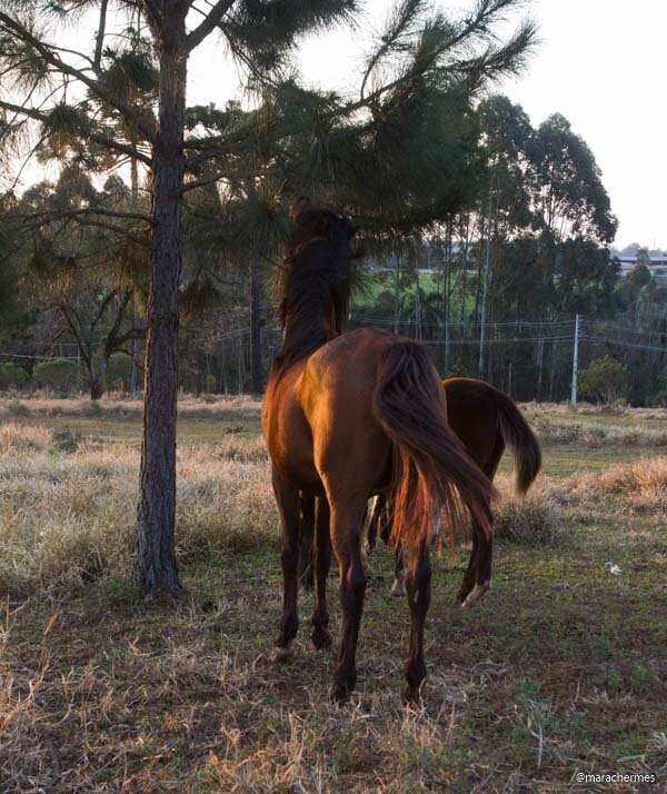 Pousada La Vierro主图