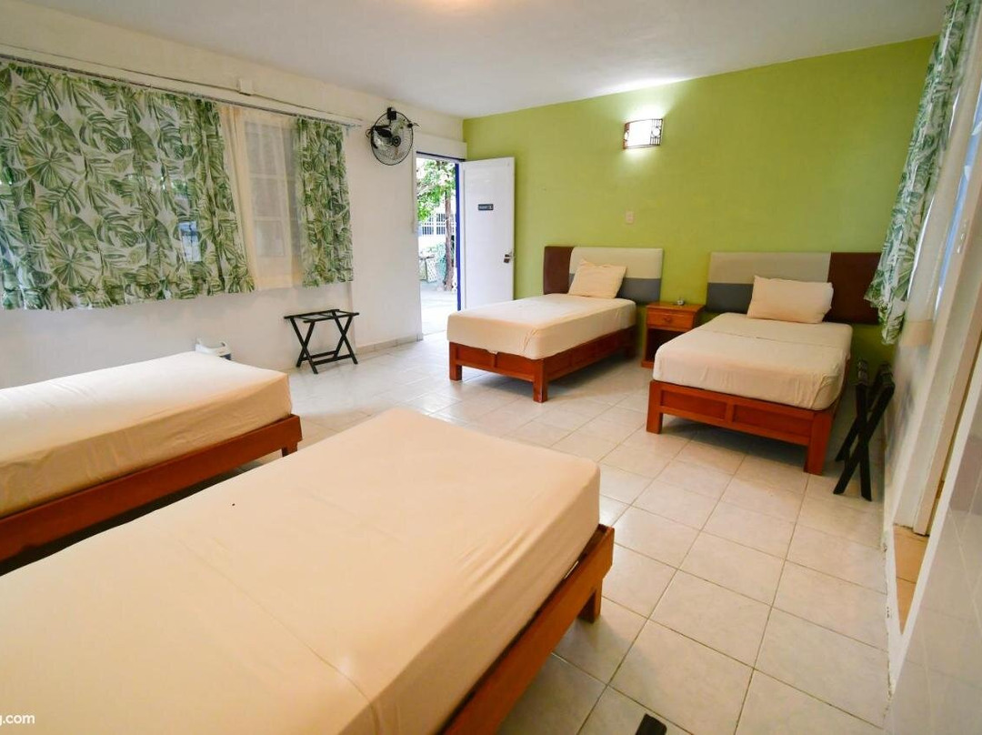 Las Palapas De Punta Allen主图