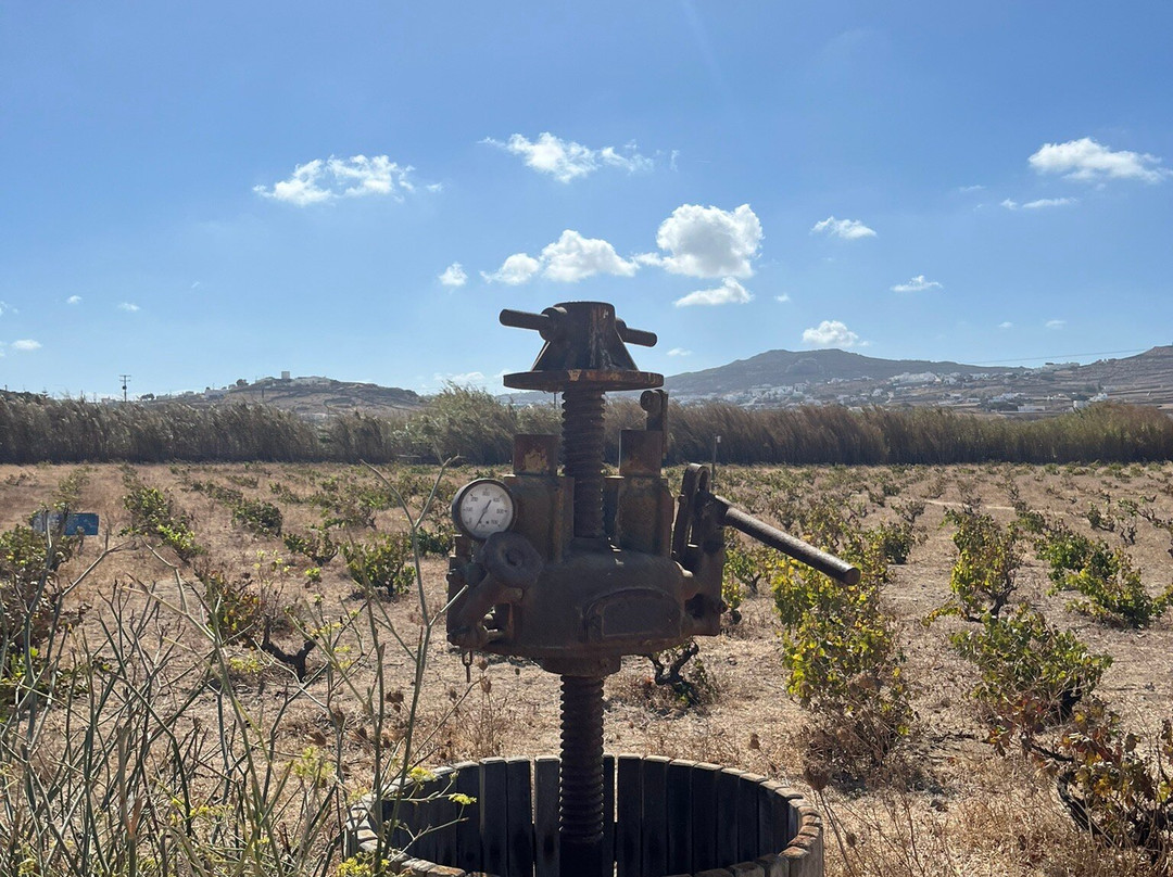 Mykonos Vioma Organic Farm景点图片