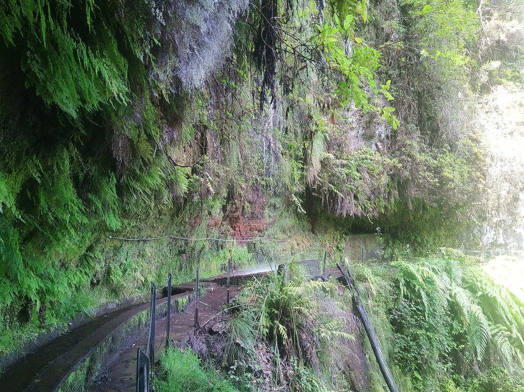 Levada Do Reí-Sao Jorge必去景点