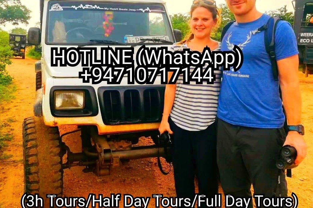 Udawalawe HALF DAY Safari Tours & Taxi Service-乌达瓦拉瓦必去景点