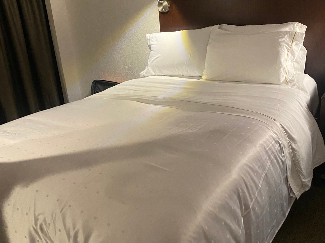 Fiesta Americana Hermosillo主图