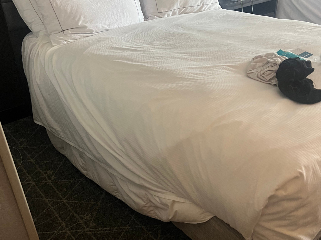 The Rewind West Des Moines, Tapestry Collection by Hilton主图