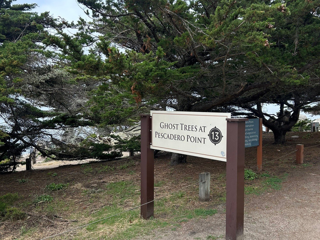 Pebble Beach-Del Monte Forest必去景点