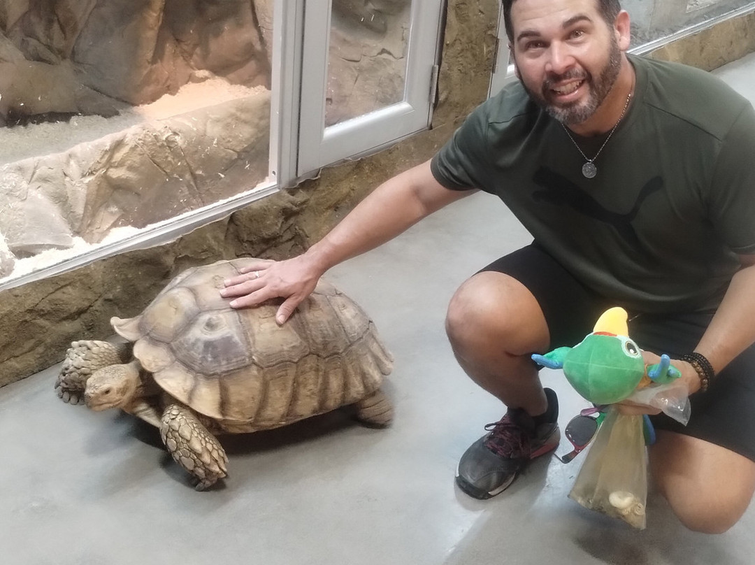 Parque De Las Ciencias By Toro Verde Power By Claro-Bayamon必去景点