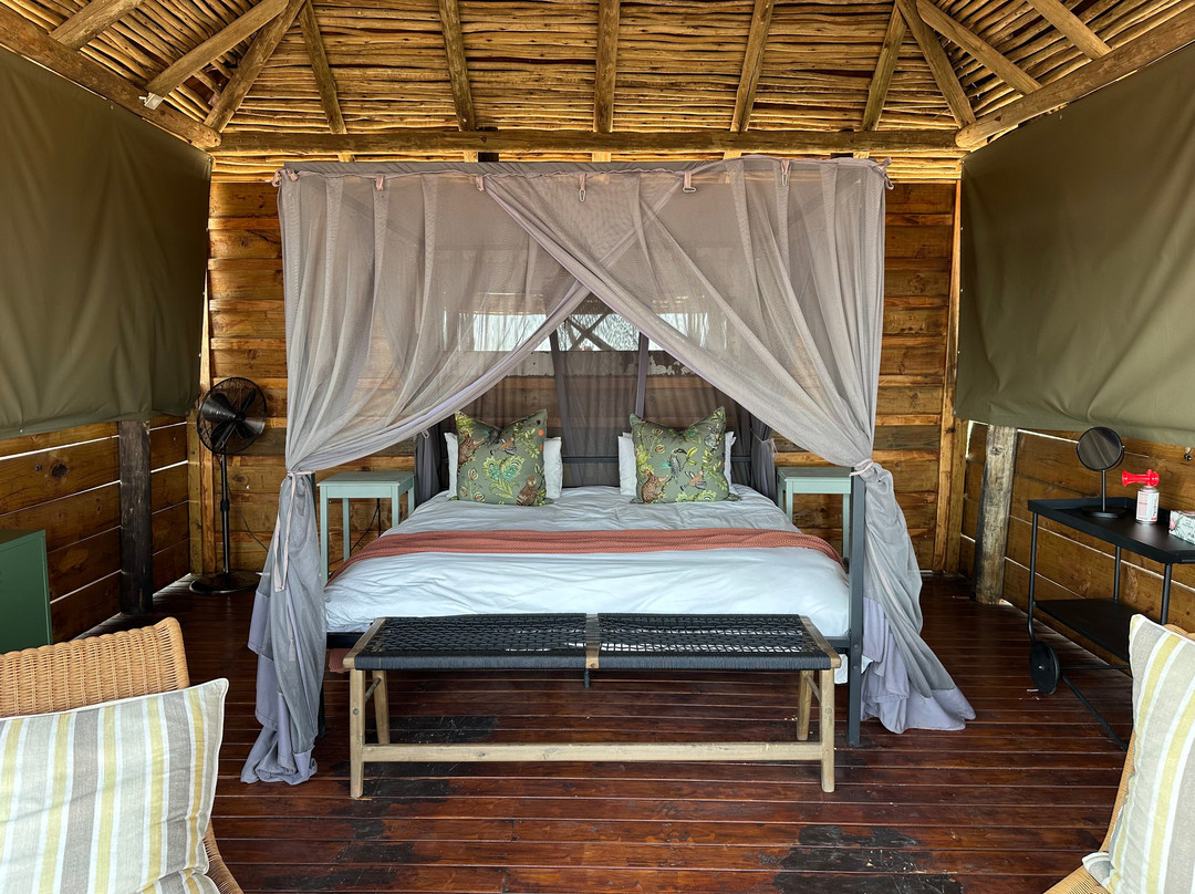 Africa On Foot Camp主图