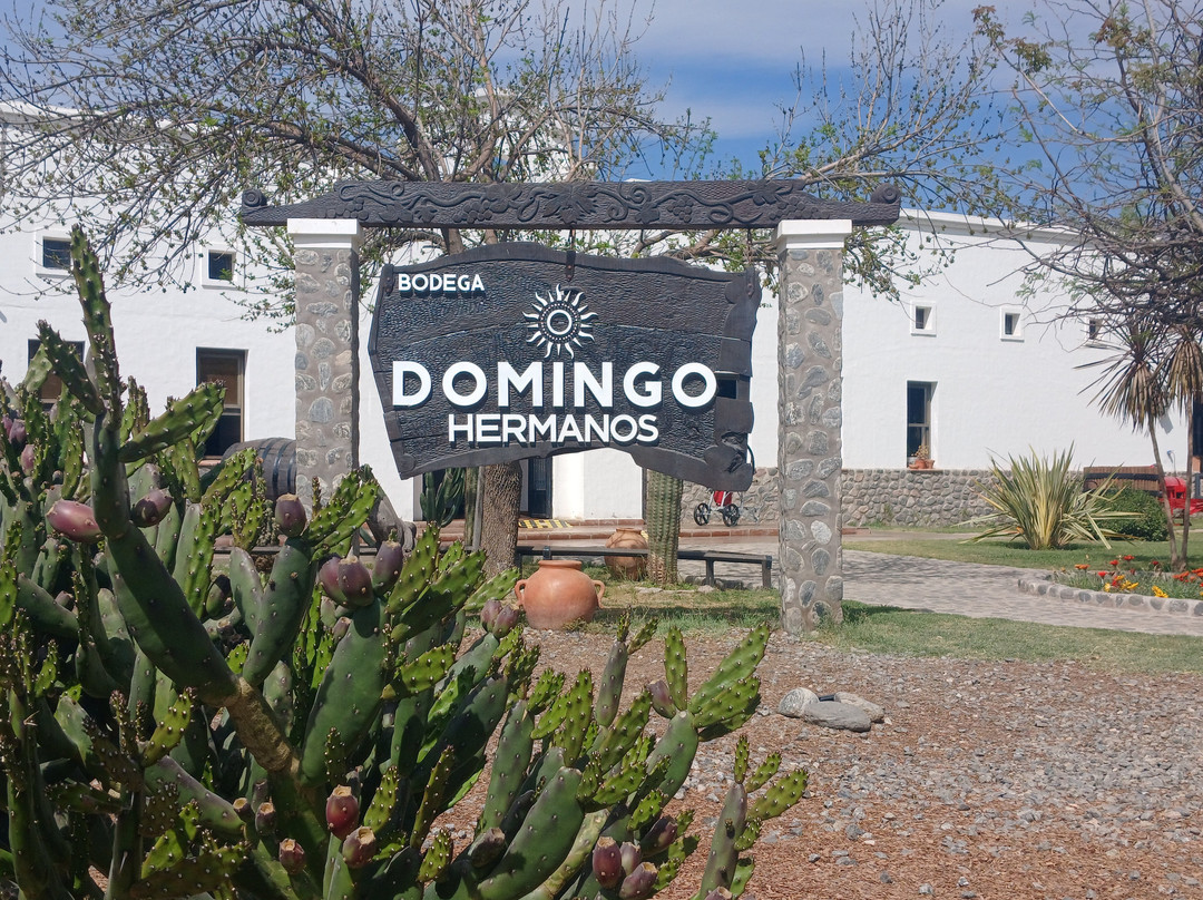 Bodega Domingo Hermanos景点图片