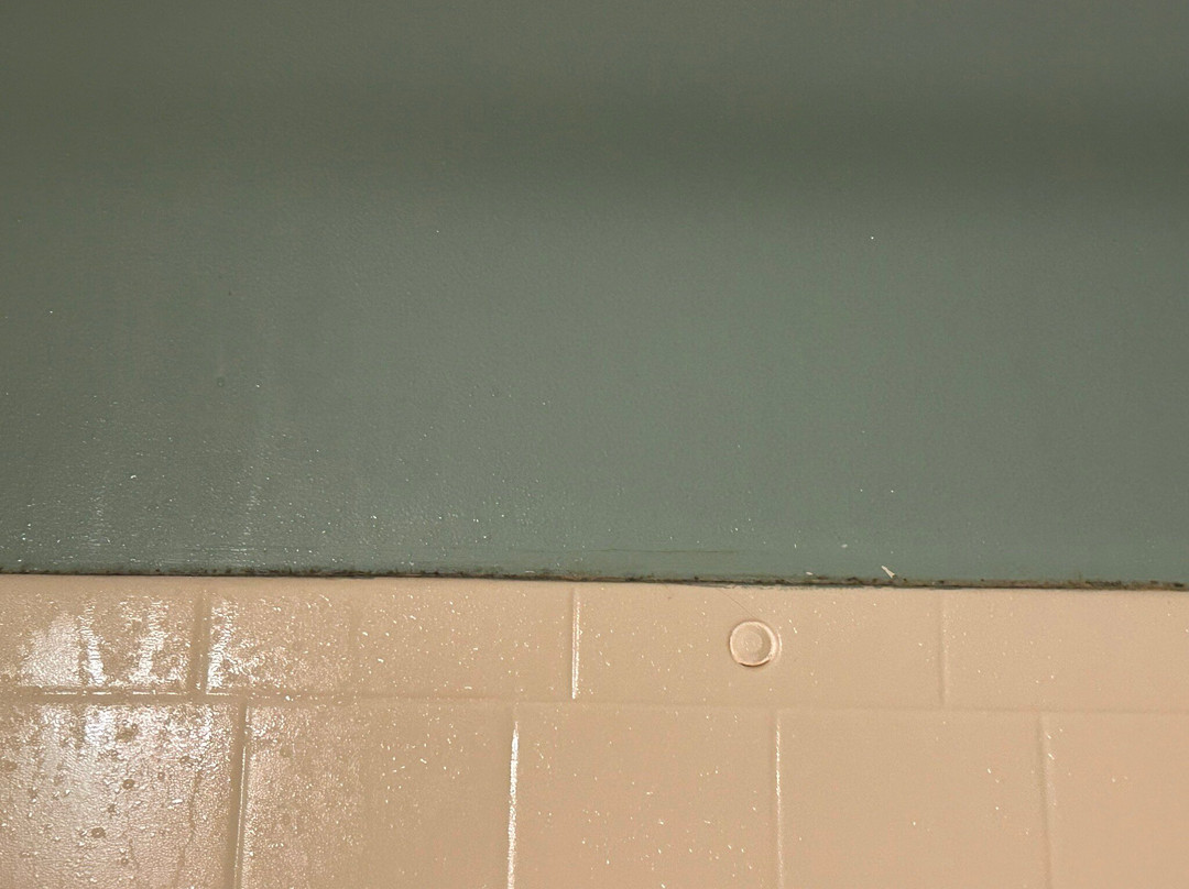 Bella Vista Motel主图