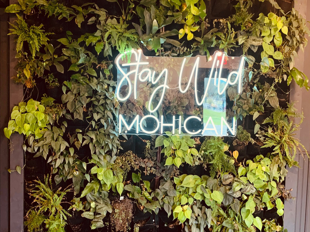 The Hemlock Inn主图