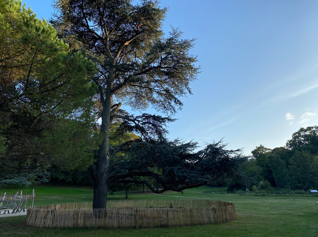 Parc de Port Breton景点图片