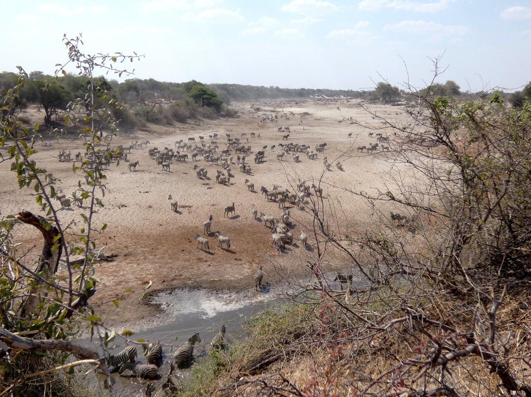 Makgadikgadi Salt Pan景点图片