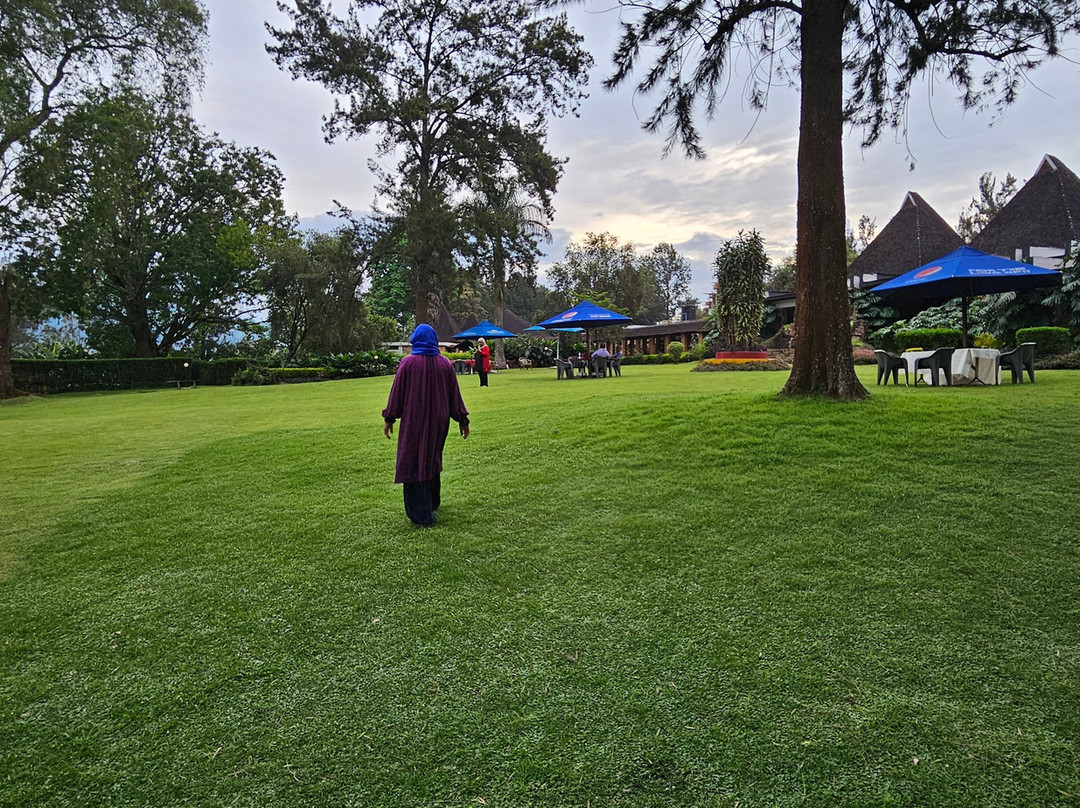 White Horse Inn主图