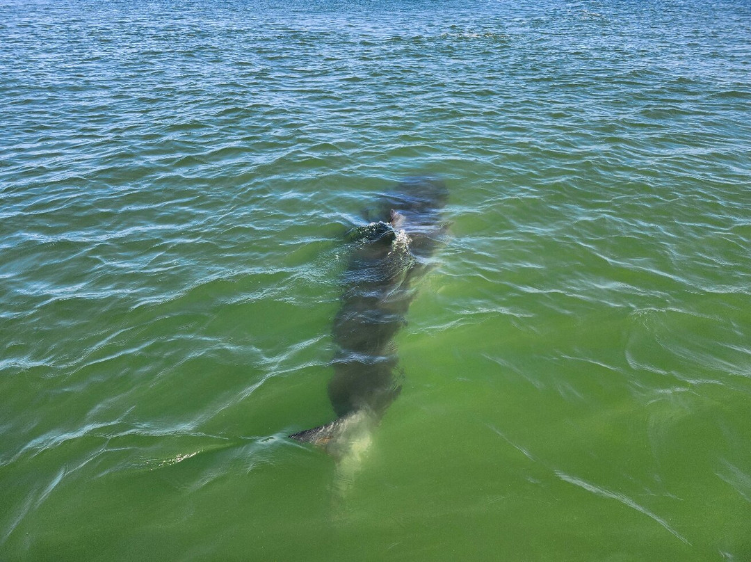 Monomoy Sportfishing-查塔姆必去景点