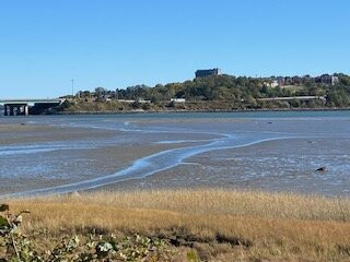 Back Cove Trail景点图片