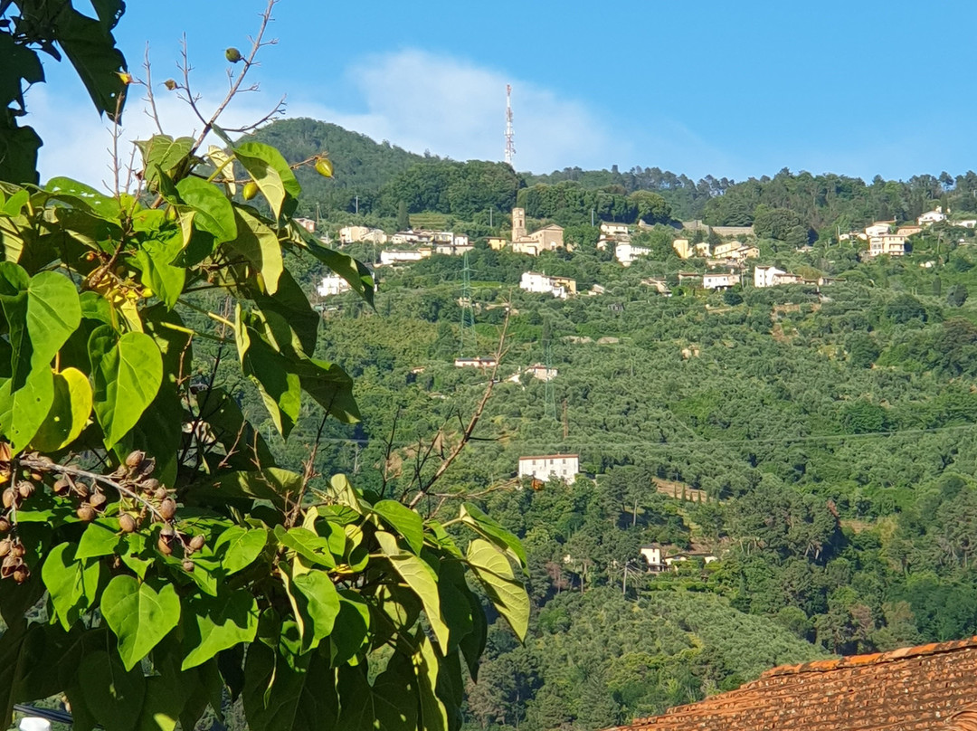 Agriturismo La Vite Maritata主图