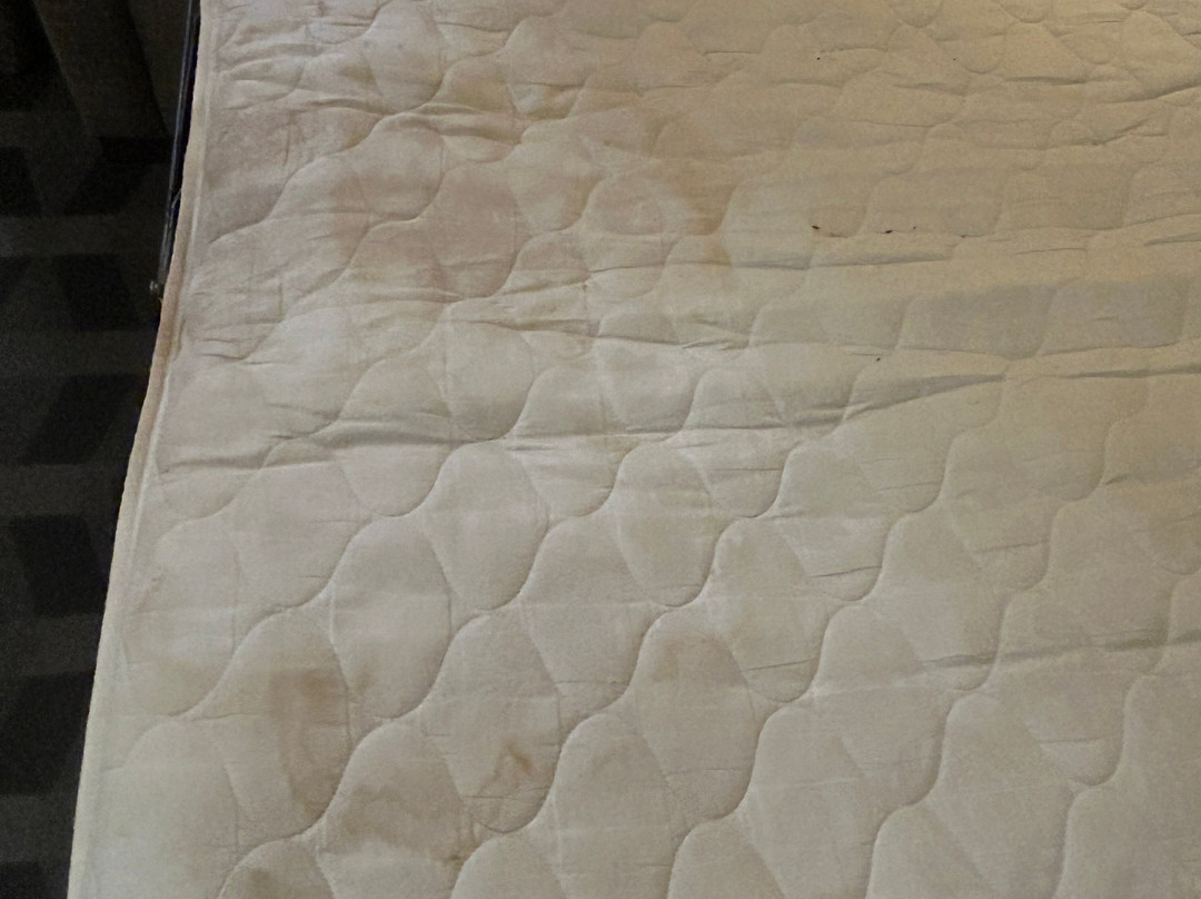 TownePlace Suites by Marriott Republic Airport Long Island - Farmingdale主图