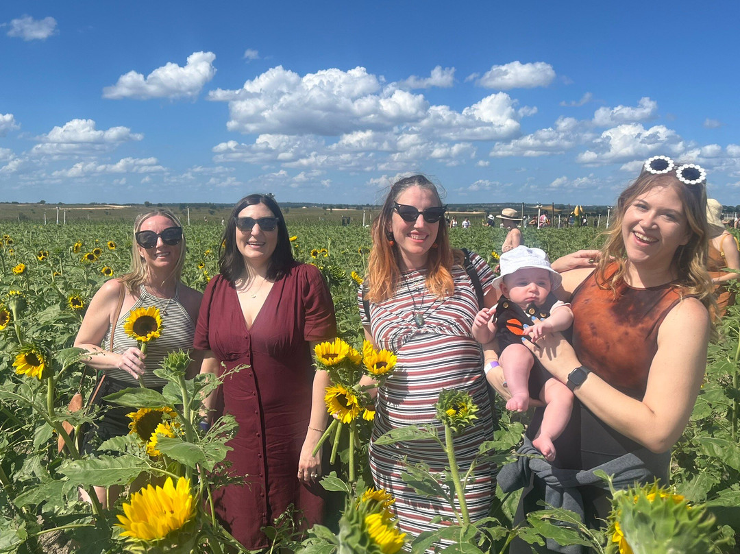 Southern Hill Farms-Clermont必去景点