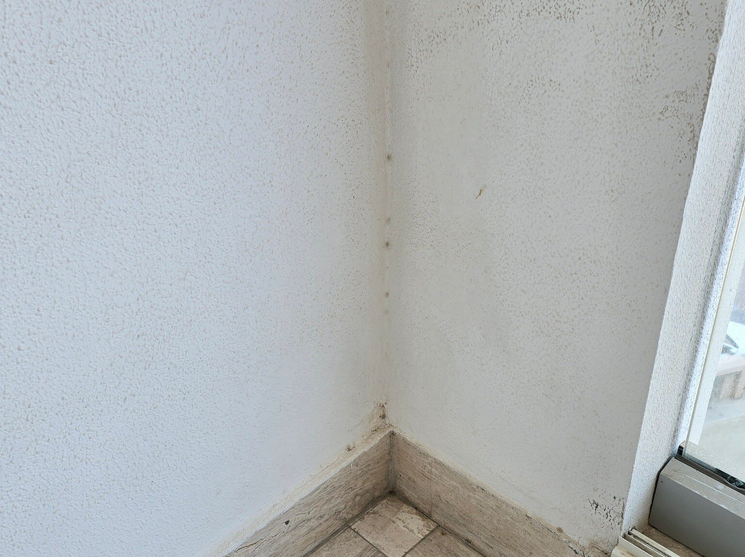 Palace hotel Kish主图
