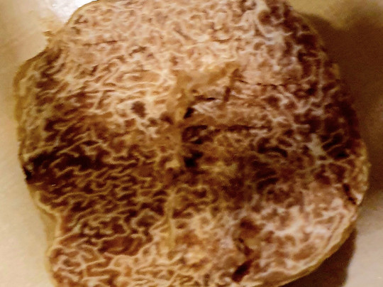 Tartufi Ponzio-阿尔巴必去景点