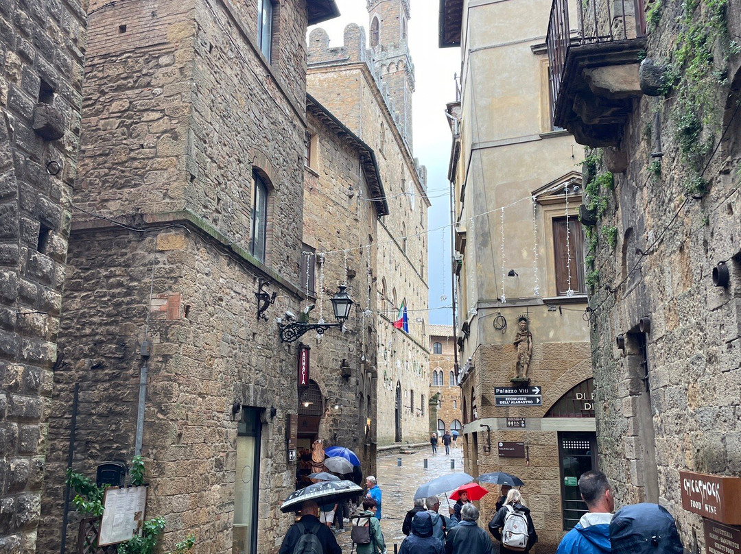 Nicola Scovenna - Tuscan Experiences景点图片