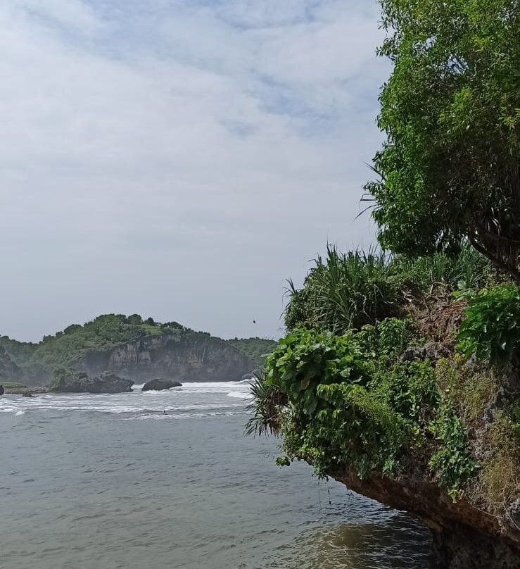 Drini Beach景点图片