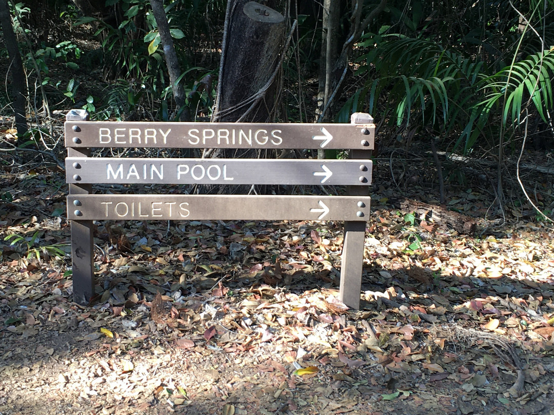 Berry Springs Nature Park-达尔文市必去景点