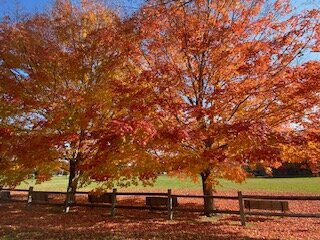 Olde Woolen Mill-North Berwick必去景点