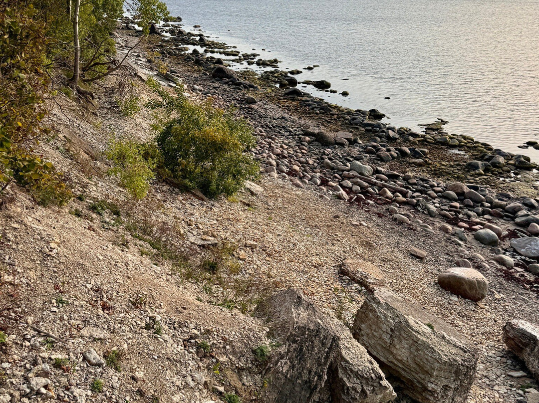 Cape Pakri-Paldiski必去景点