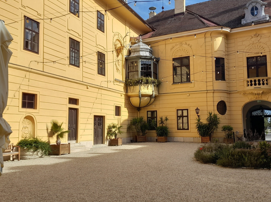 Schloss Eckartsau景点图片