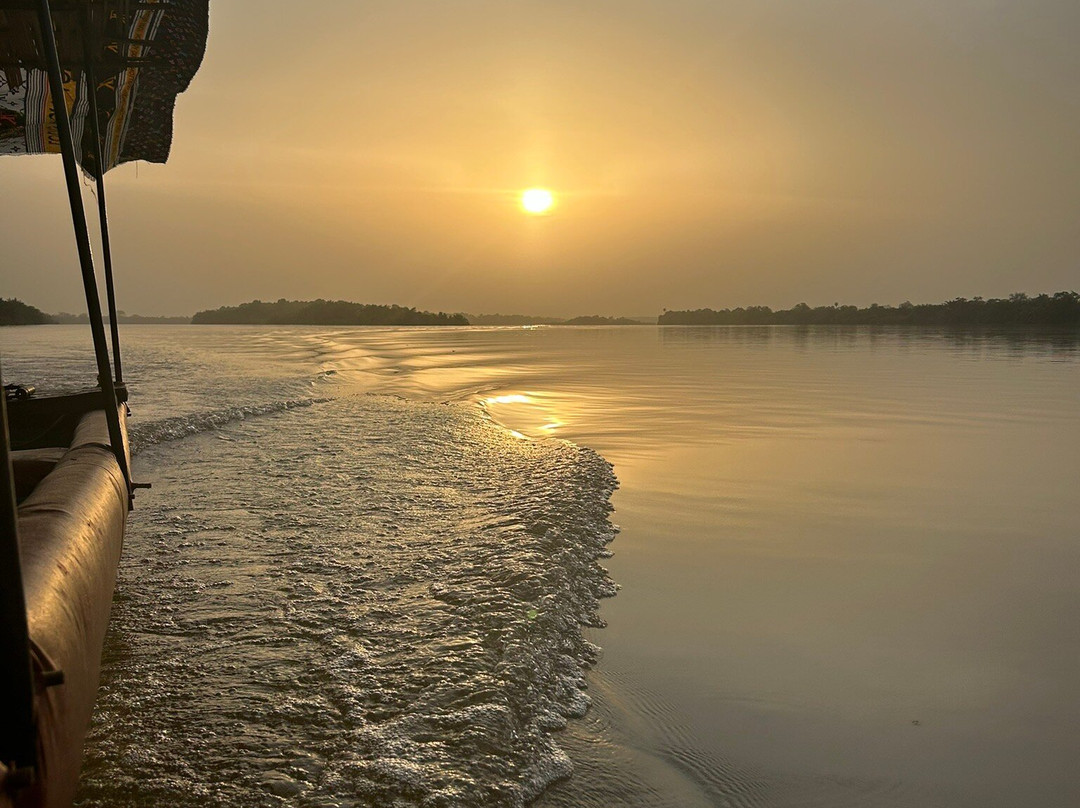 River Gambia National Park景点图片