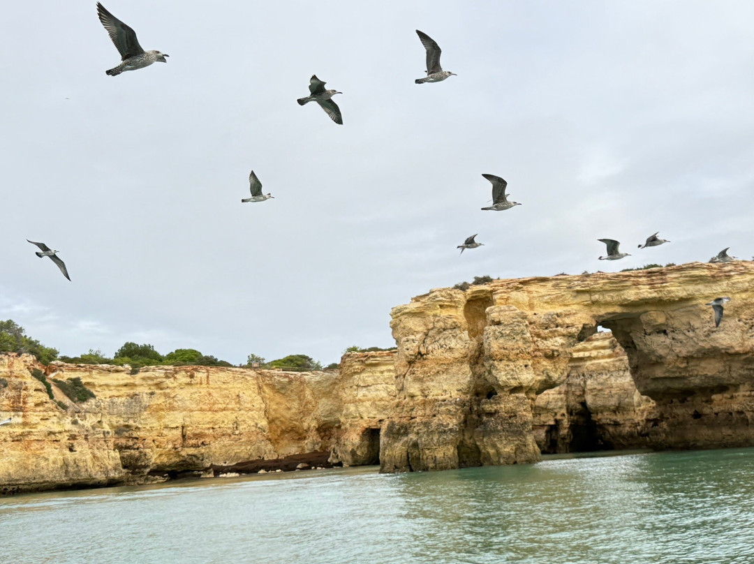 Algar de Benagil景点图片