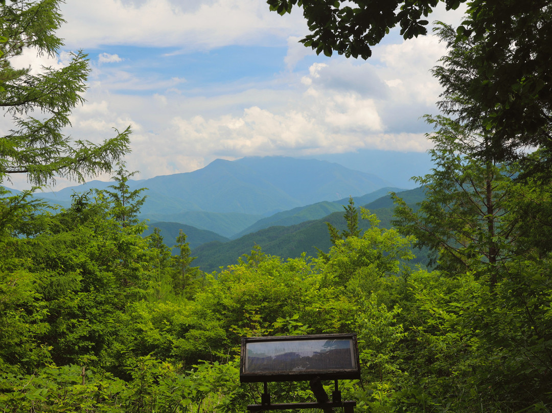 Mizukisawa Forest景点图片