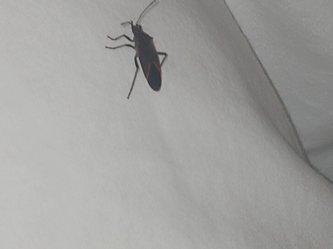 Fairfield Inn & Suites Washington Casino Area主图