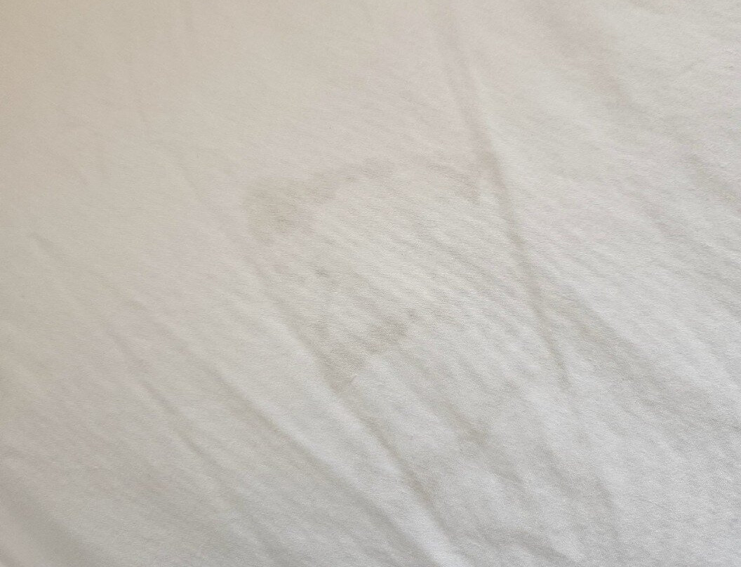 Sandman Signature Kamloops Hotel主图