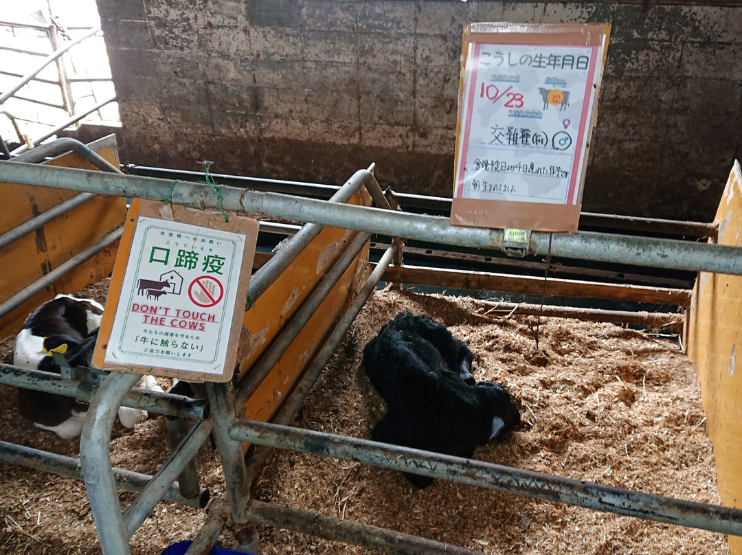 Enomoto Diaryfarm-上尾市必去景点