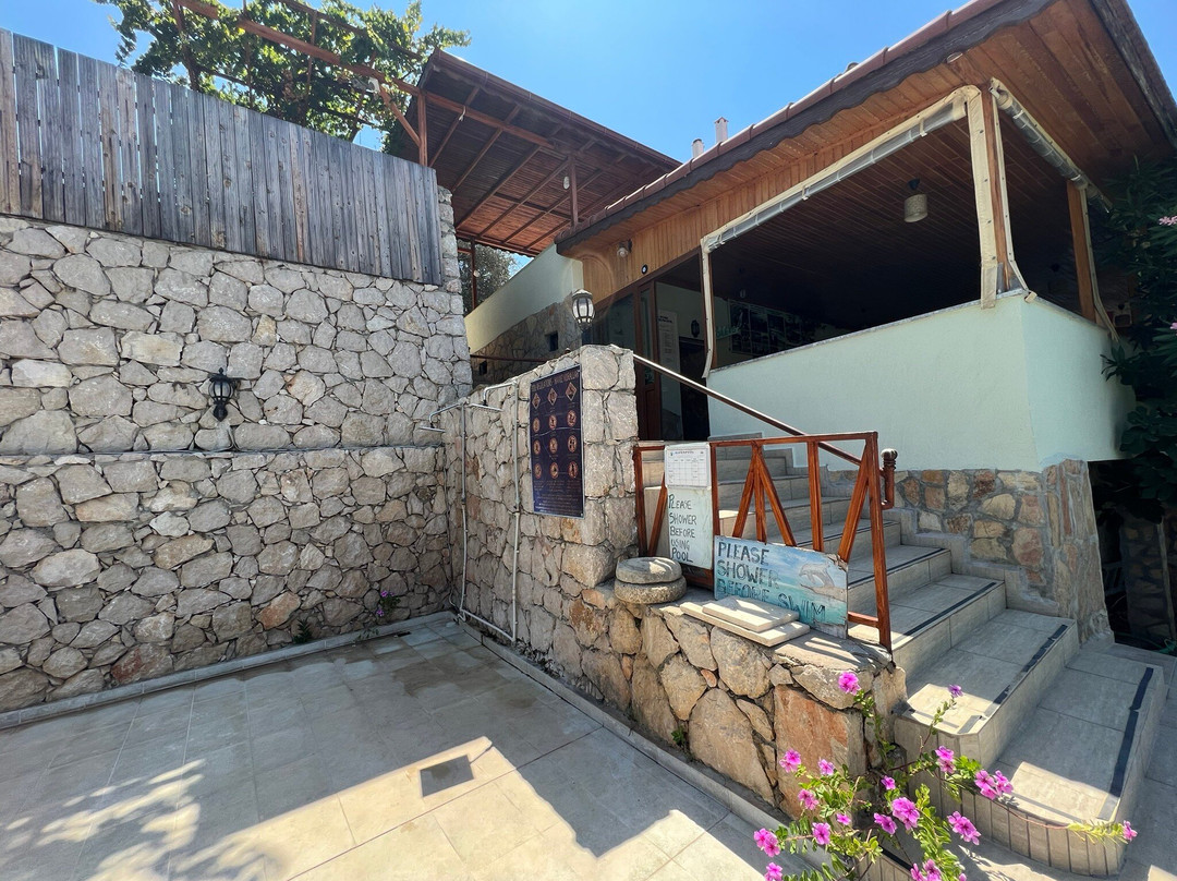 Patara Delfin Hotel主图