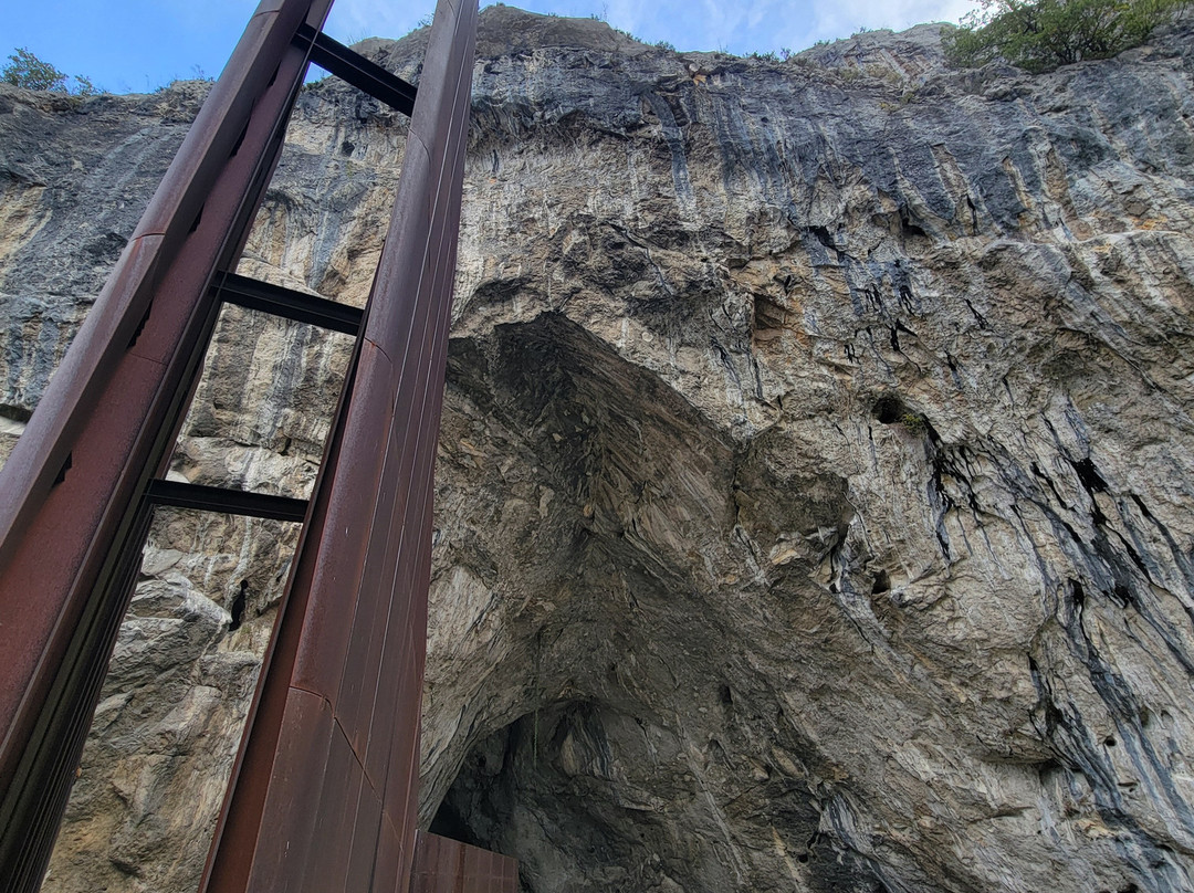 Grotte de Niaux-Niaux必去景点