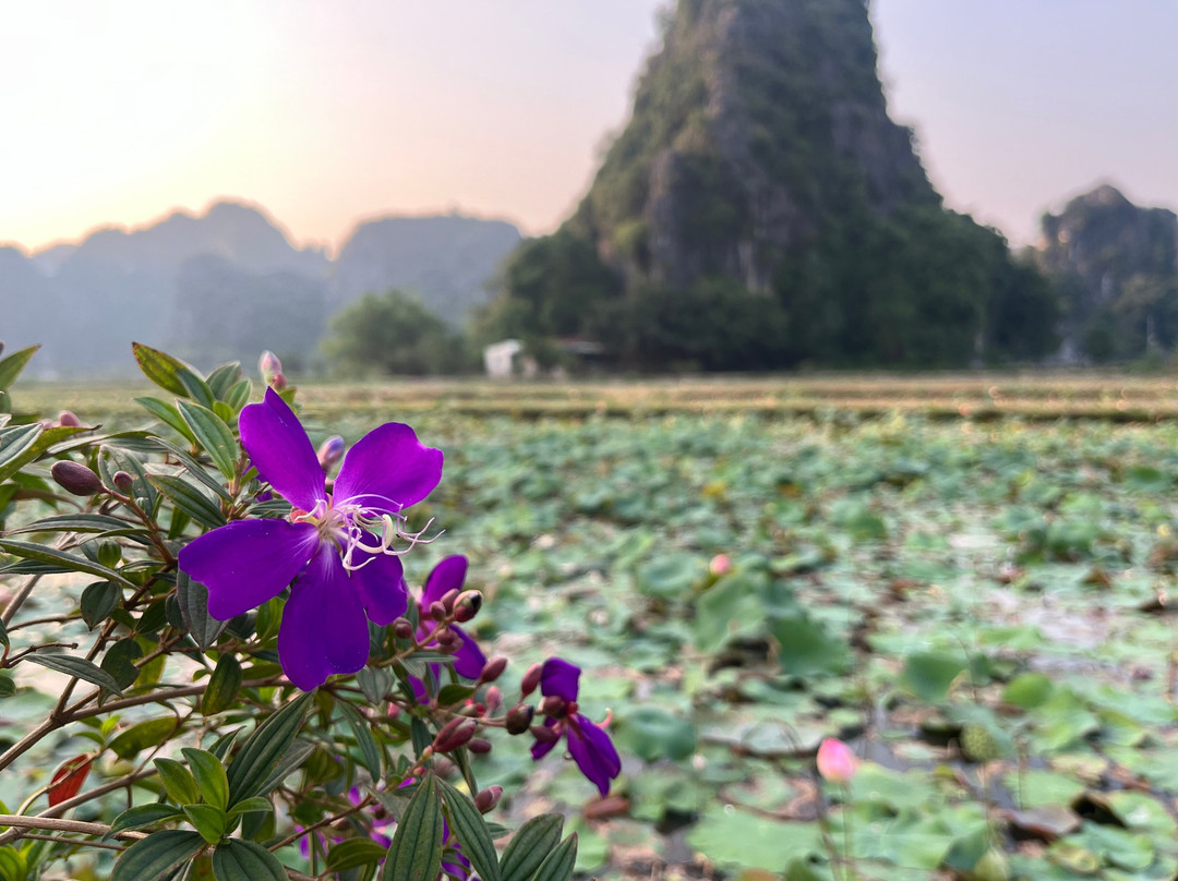 AmGo Travel-Hoan Kiem必去景点