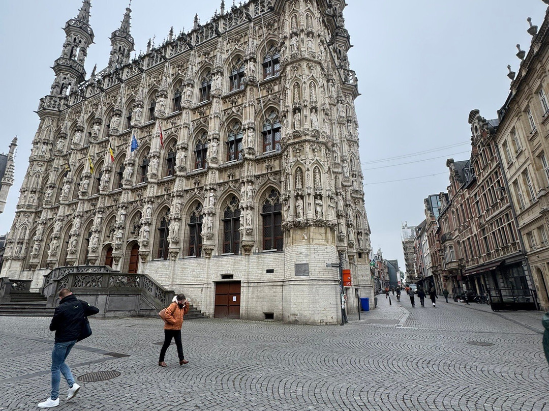 Historic Leuven Town Hall景点图片