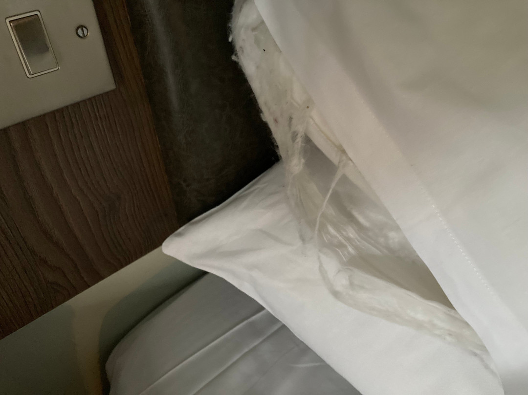 Cwrt Bleddyn Hotel & Spa主图