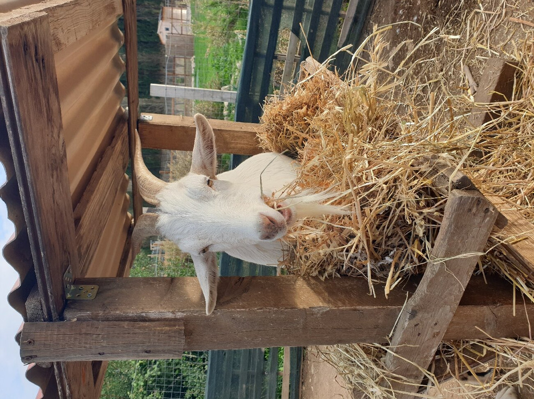 Rifugio Domo Mea-Olmedo必去景点