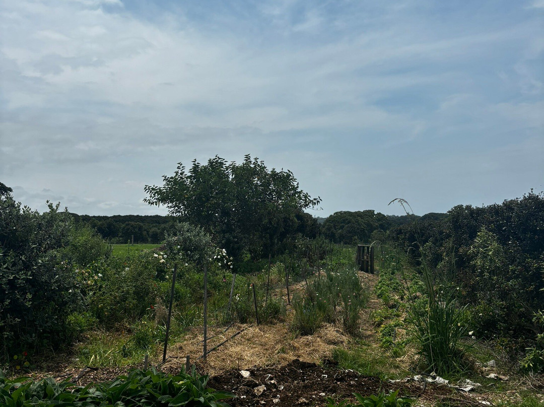 The Farm景点图片