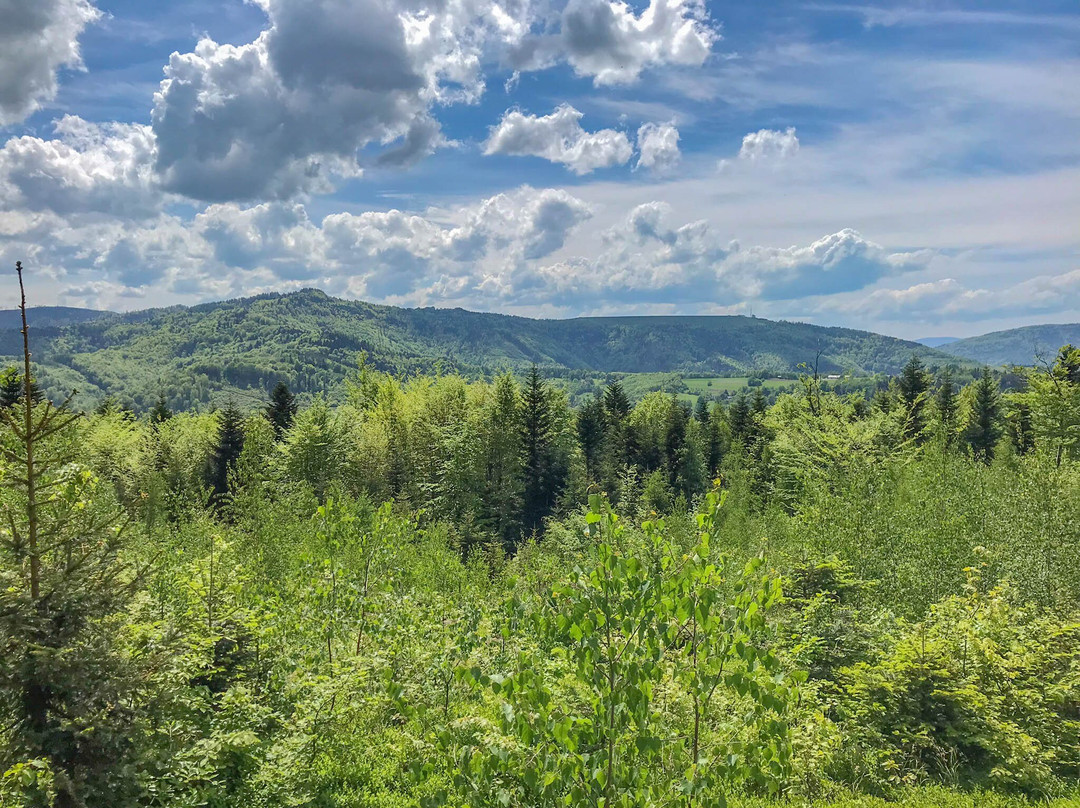 Szlak Porąbka - Trzonka